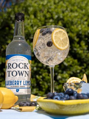 Blueberry Lemon Spritz Shoot 1-17